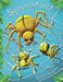 Spidertwist